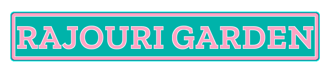 Rajouri Garden Call Girls Escorts in Delhi
