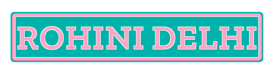 Rohini Delhi Call Girls